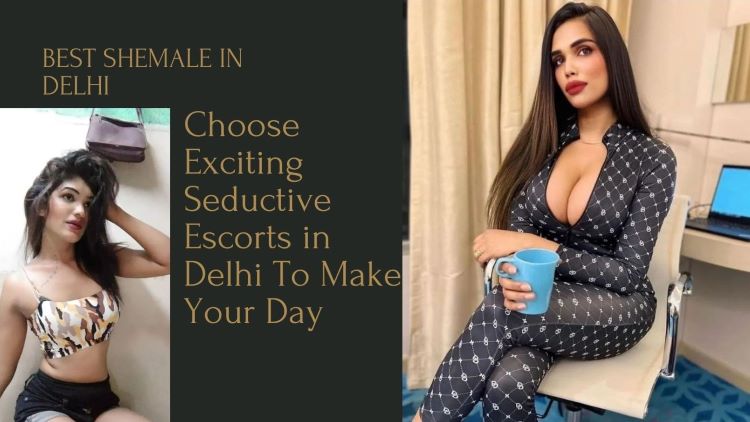 Choose Best shemale in Delhi NCR